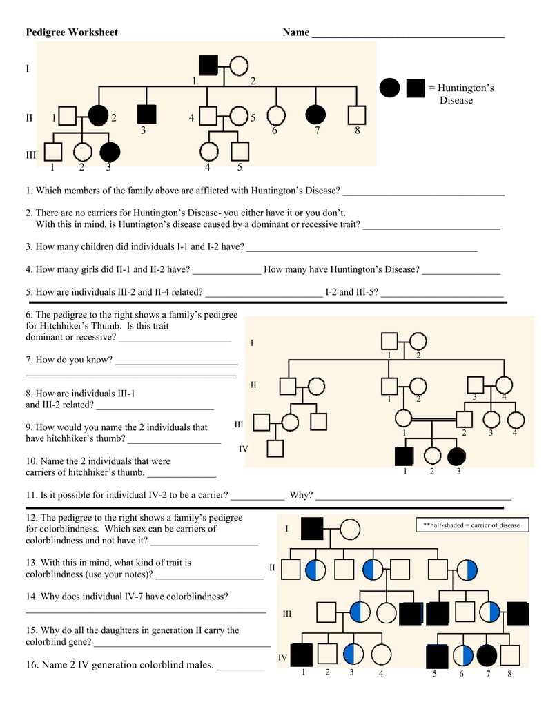 Interpreting a Human Pedigree Worksheet