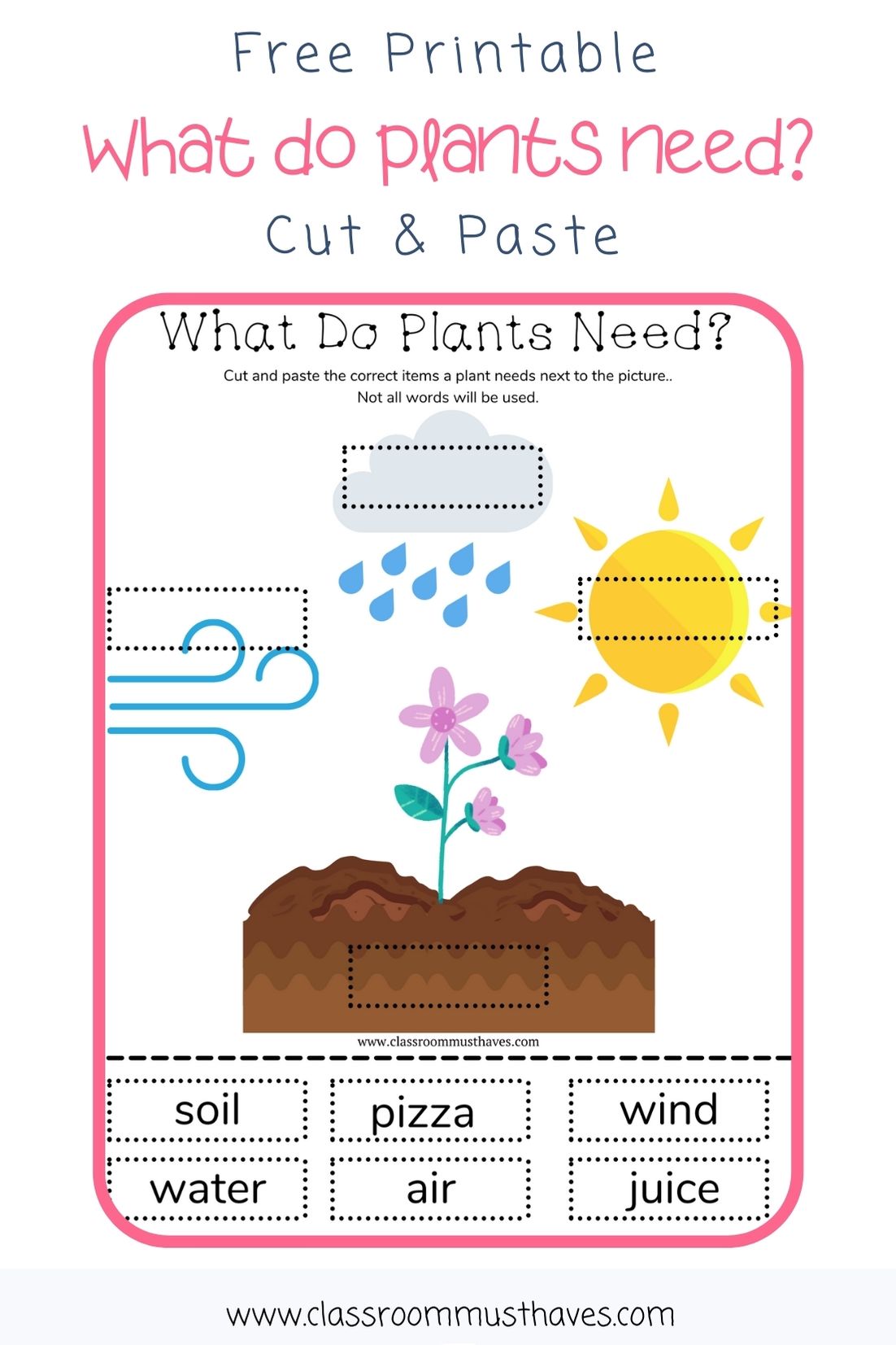 Plant Needs Worksheet