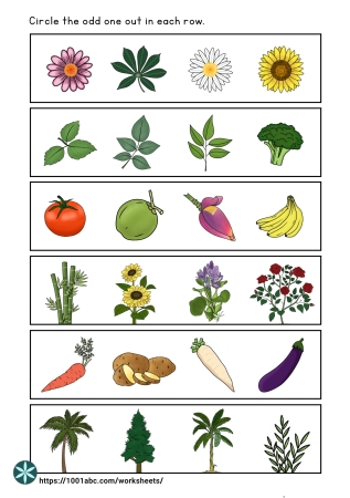 Plant Worksheets for Kindergarten Fun Learning Activities