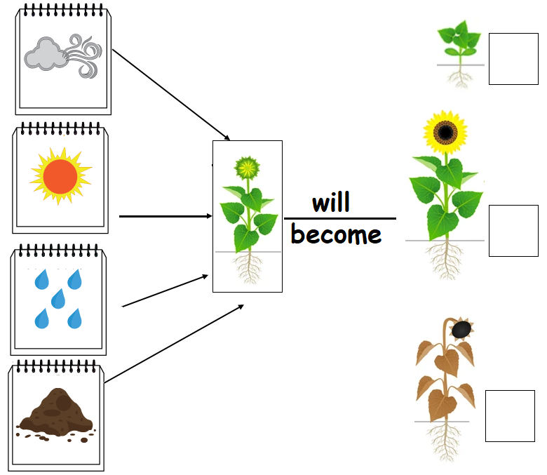 Plants Worksheets For Kindergarten Pdf