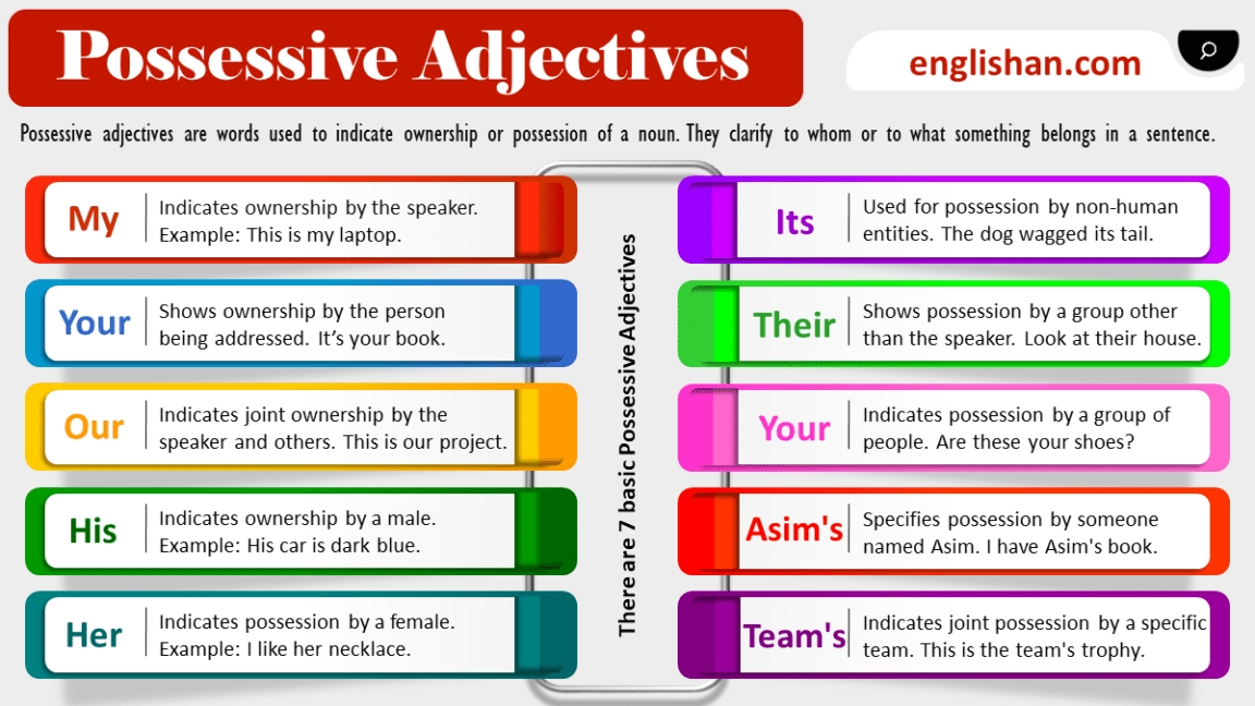 Possessive Adjectives In English With Examples Englishan