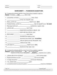 Possessive Adjectives Spanish Worksheet Exercises