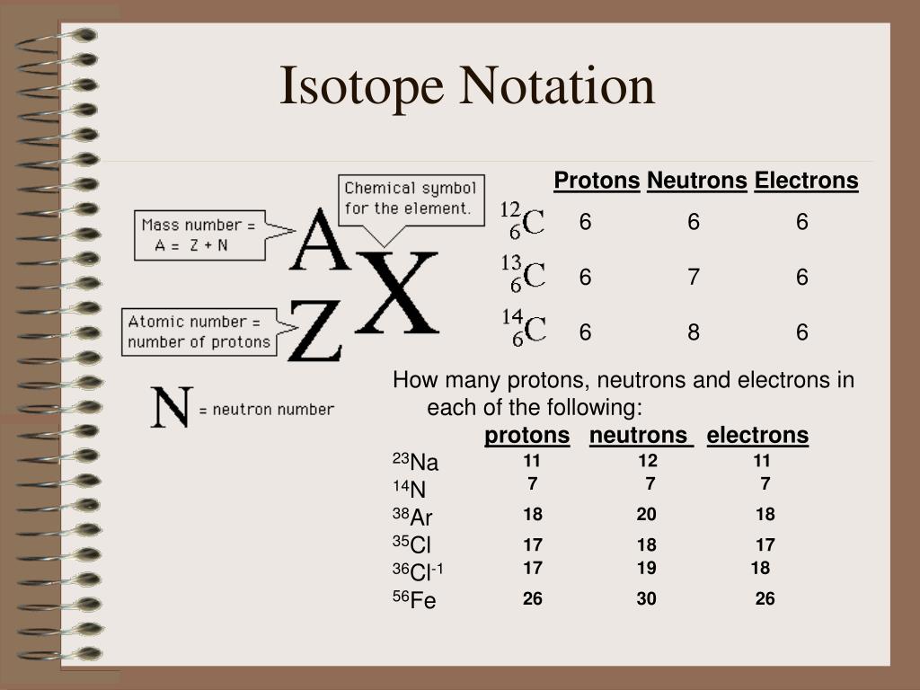 Ppt Outline Chapter 8A The Nucleus Powerpoint Presentation Free Download Id 671719