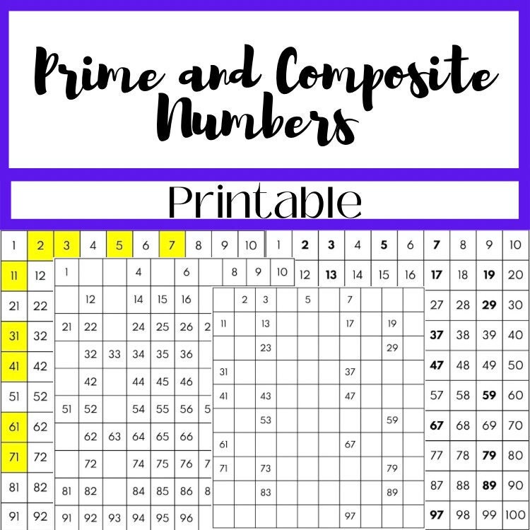 8 Exercises to Master Prime and Composite Numbers