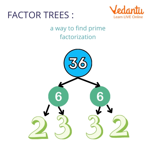 7 Ways to Master Prime Factorization