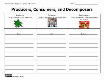 Producers Consumers Decomposers Worksheet Answer Key