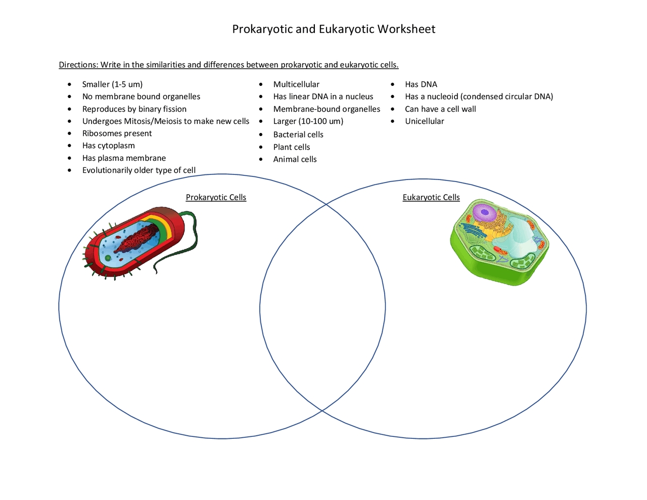 5 Ways Prokaryotes and Eukaryotes Differ