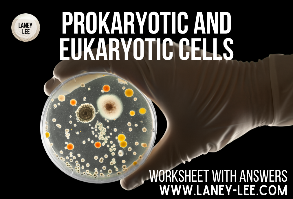 5 Essential Facts About Prokaryotic Cells