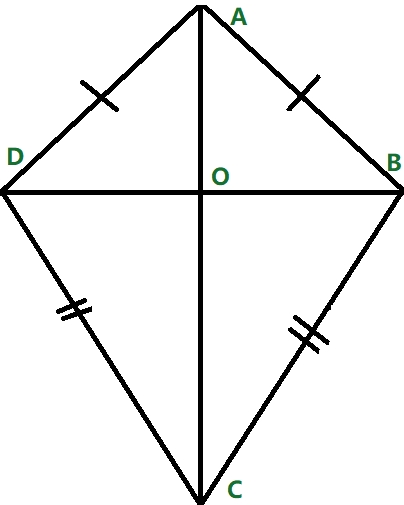 5 Key Properties of Kites to Know