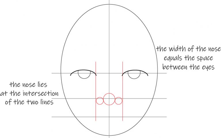 Mastering Face Proportions in 5 Simple Steps