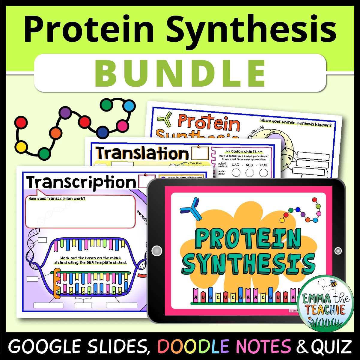 5 Steps to Master Protein Synthesis