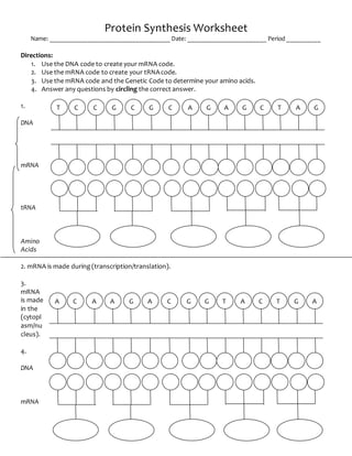 Protein Translation Worksheet