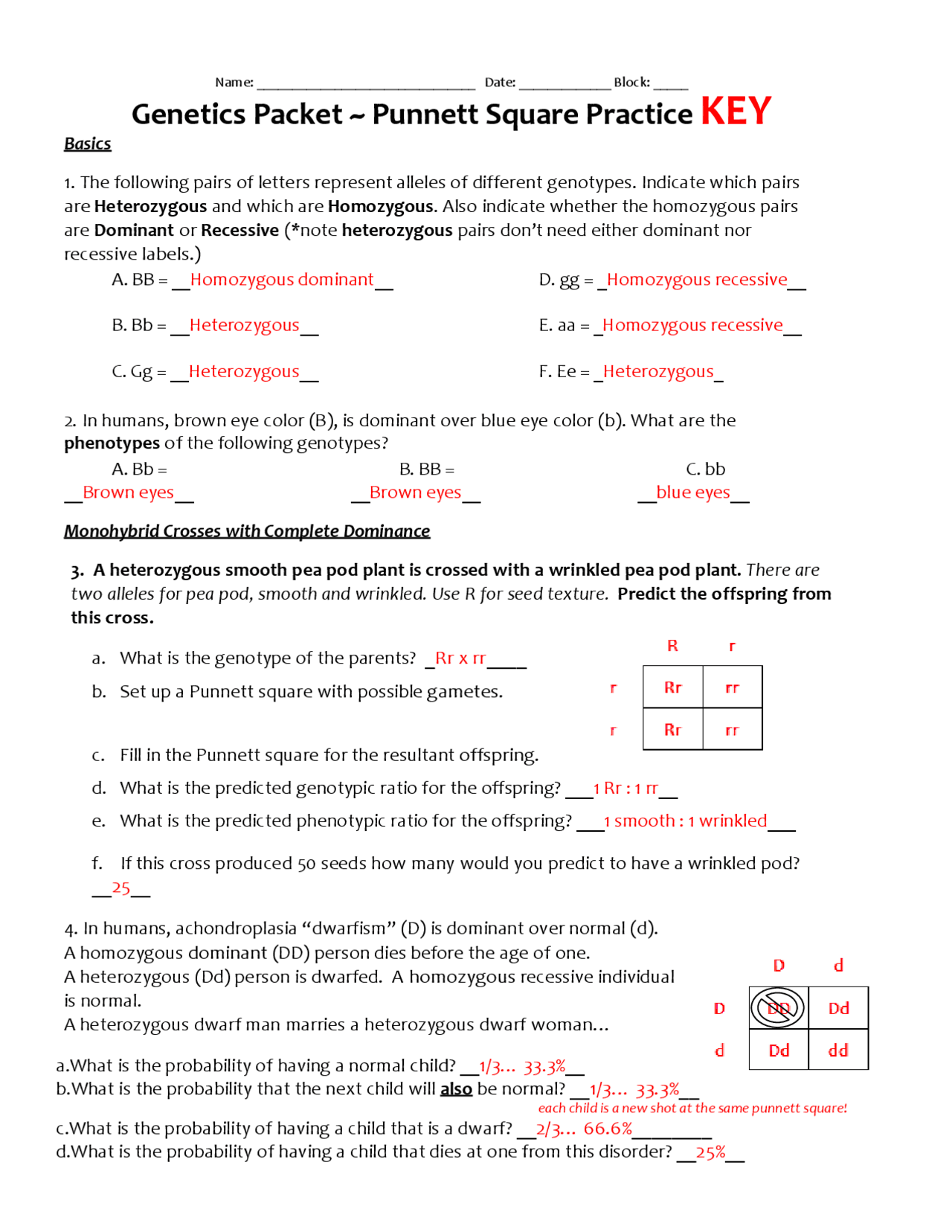 Punnett Square Practice Worksheet Answers