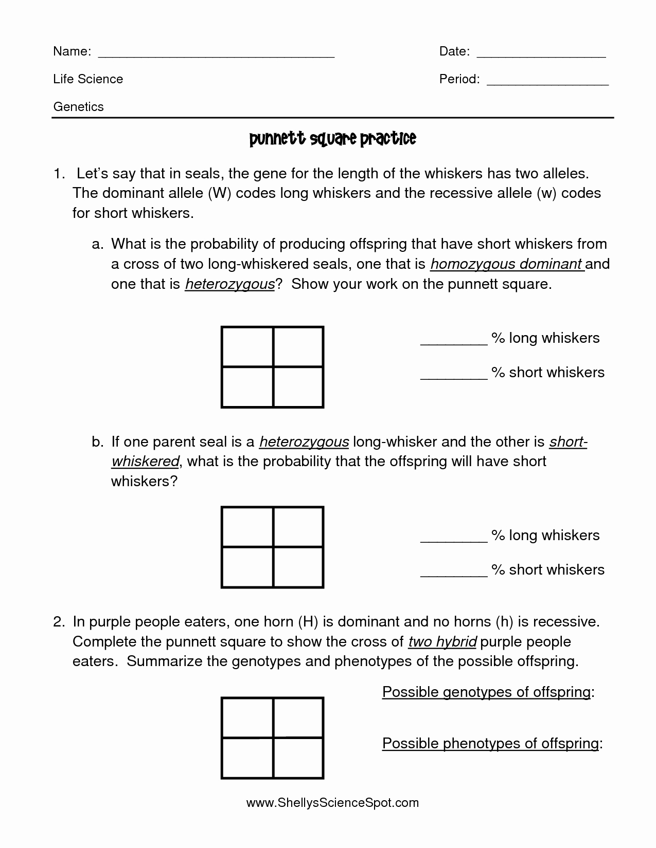 6 Ways to Master Punnett Square Practice Worksheets