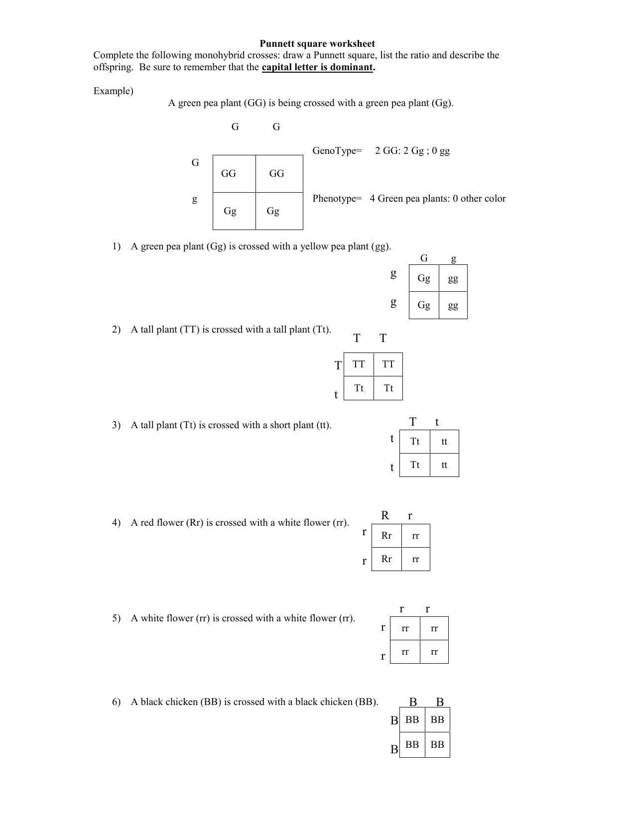 Punnett Square Worksheet 1 Answer Key Inspiredeck