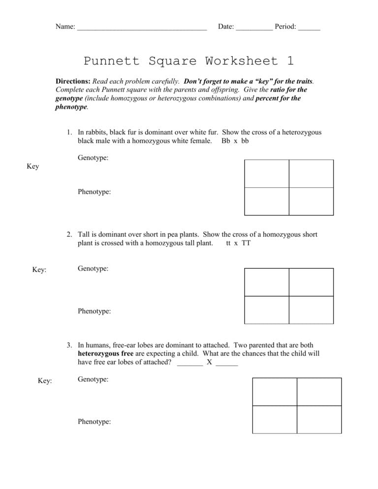 Punnett Square Worksheet 1 Answer Key