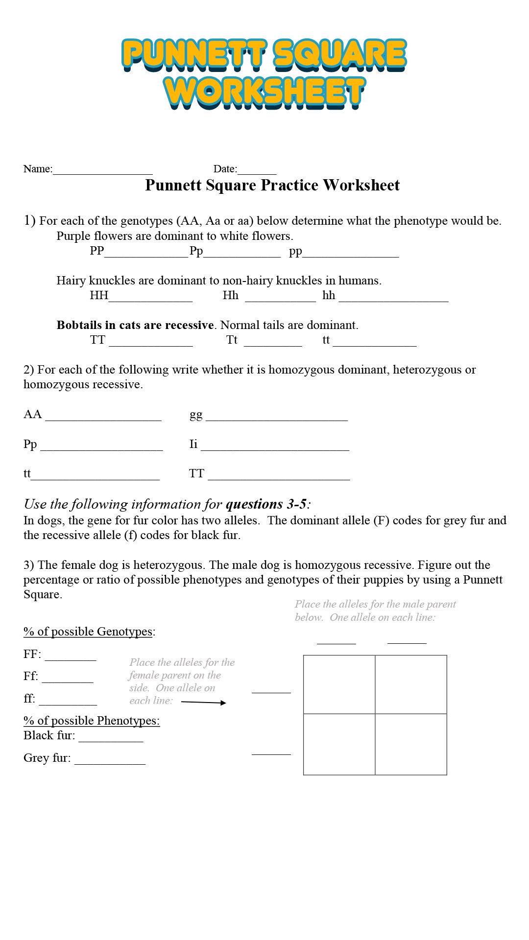 Punnett Square Worksheet Answers Punnett Squares Punnett Square Activity Practices Worksheets