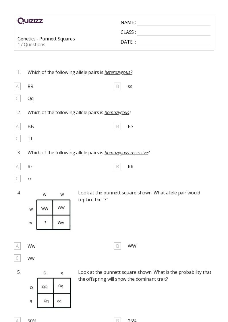 Punnett Squares Worksheet Pdf