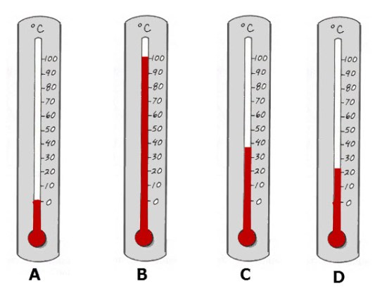 5 Ways to Read a Thermometer Correctly