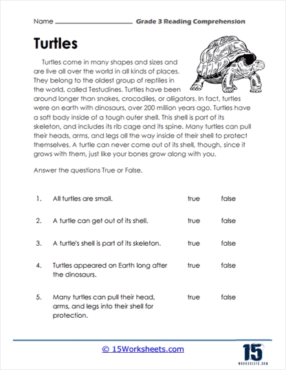 3rd Grade Reading Comprehension Worksheets Made Easy