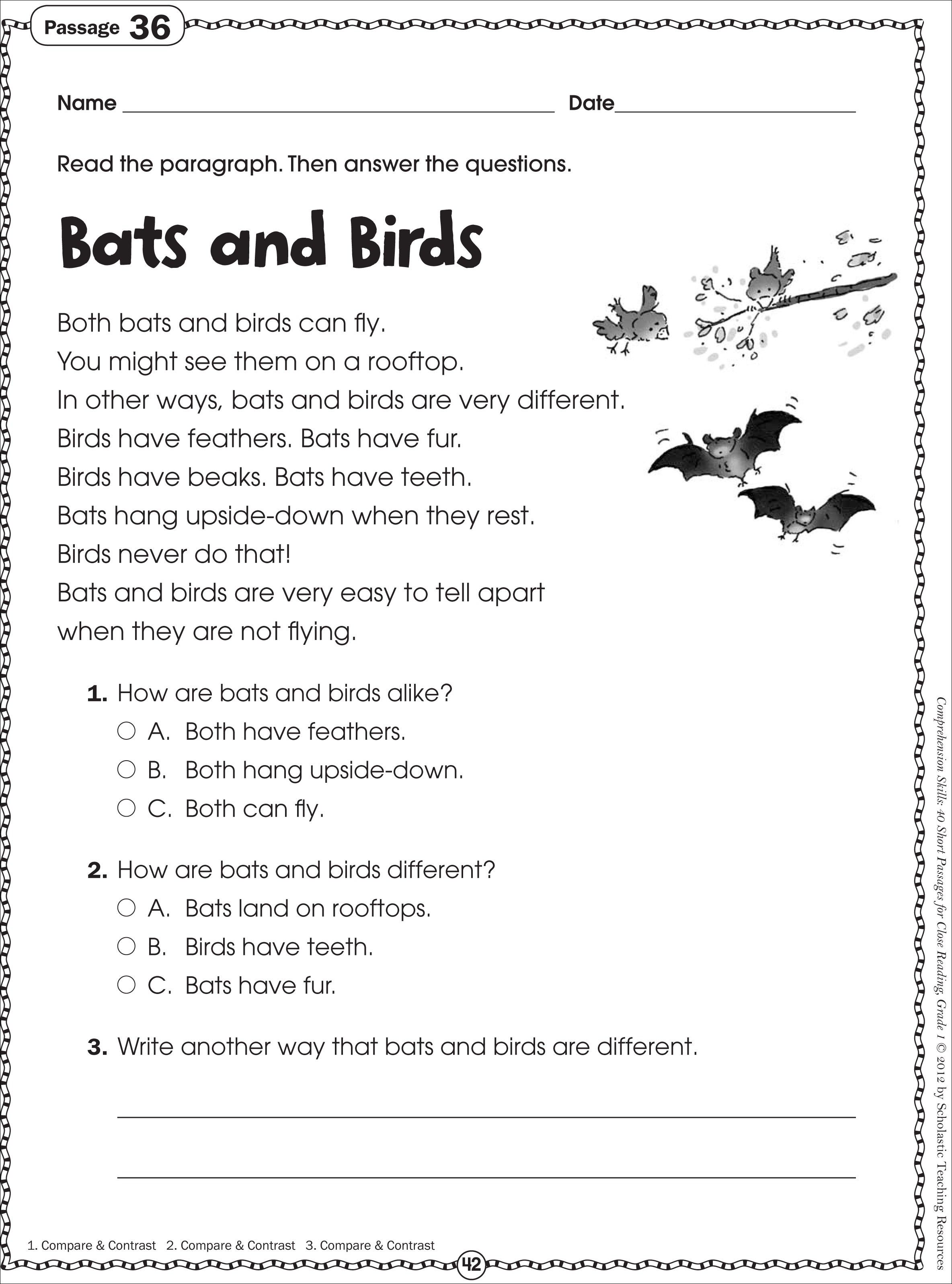 Fun Reading Worksheets for 2nd Grade Students