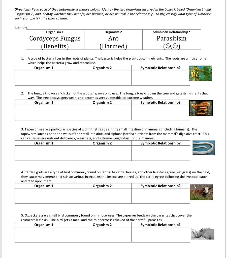 5 Tips for Relationships Worksheet Answers