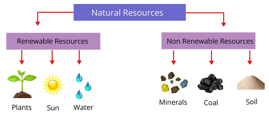 5 Ways to Identify Renewable and Nonrenewable Resources