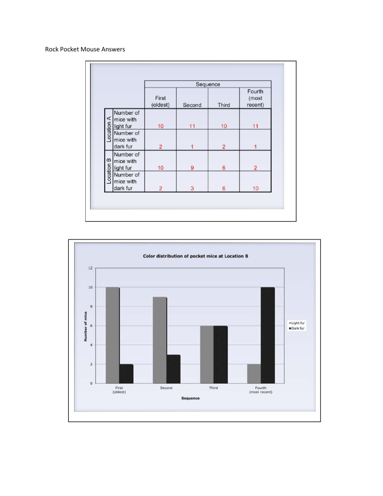 Rock Pocket Mouse Worksheet Answer Key