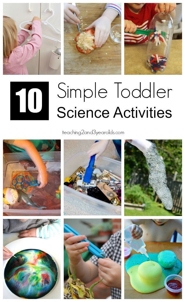 Fun Science Worksheets for Kindergarten Explorers