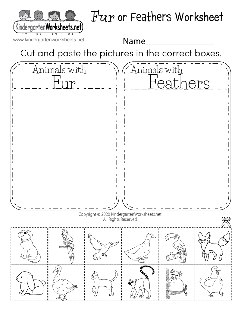 5 Fun Science Kindergarten Worksheets