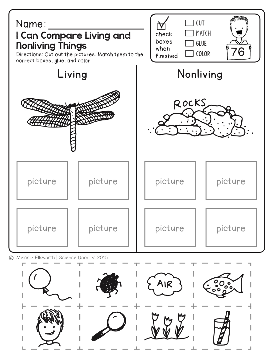 Science Sheets For Kindergarten