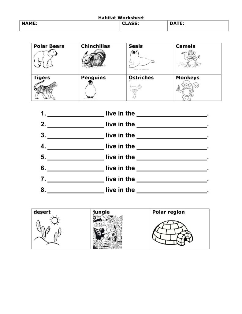 2nd Grade Science Worksheets Fun Learning Activities