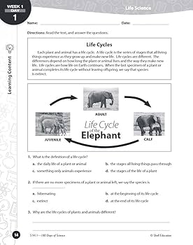 8th Grade Science Worksheets Made Easy and Fun