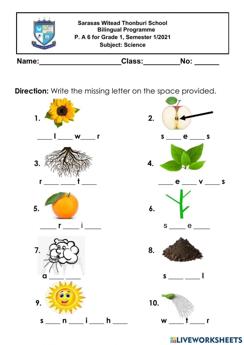 Grade 1 Science Worksheets Made Fun and Easy