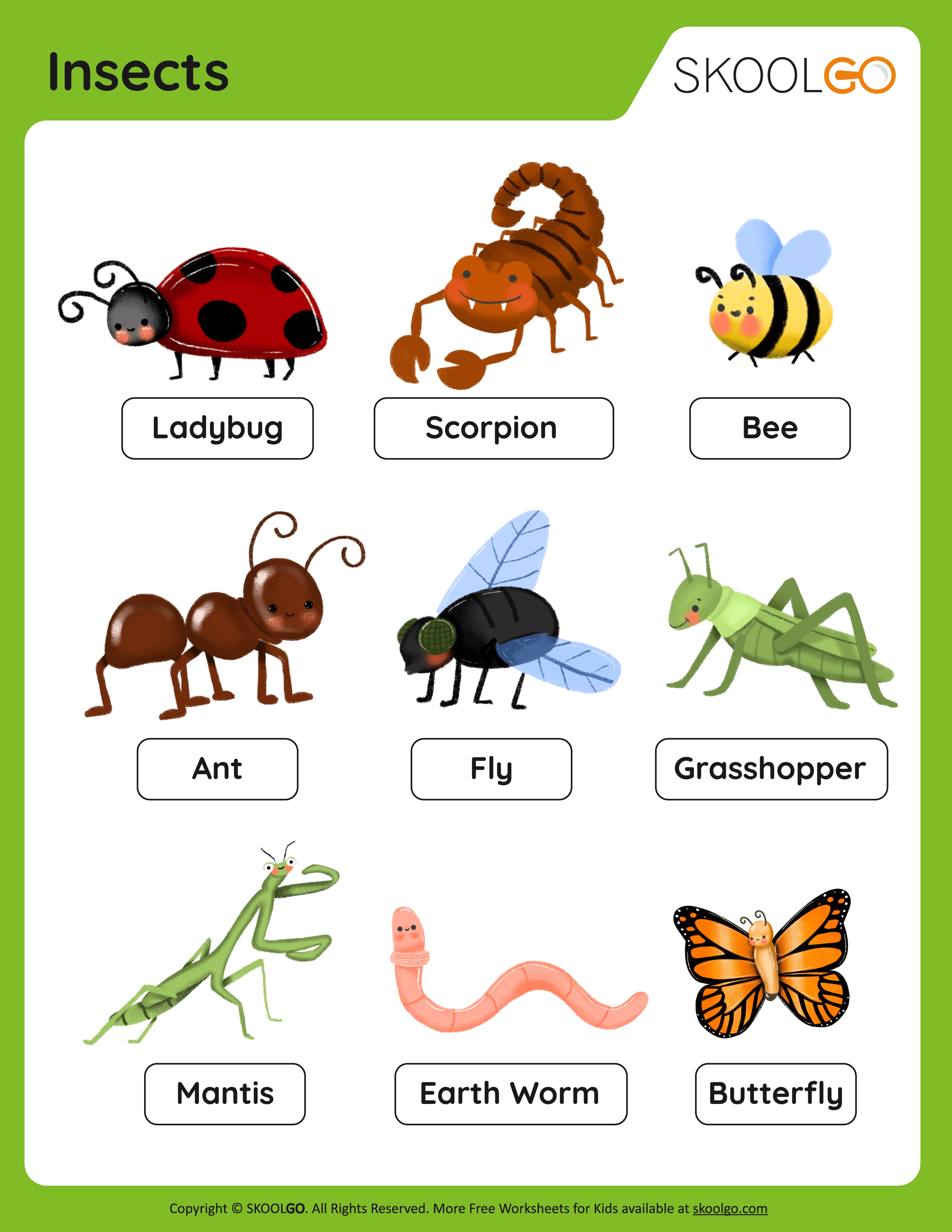 Science Worksheets for Grade 2 Kids Learning Fun