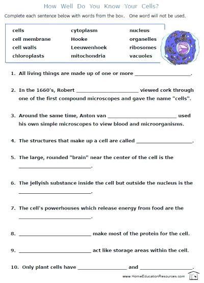 Science Worksheets For Grade 7 Thekidsworksheet