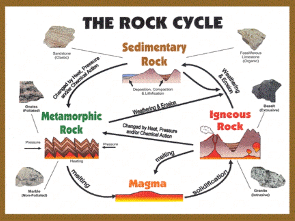 Sedimentary Rocks