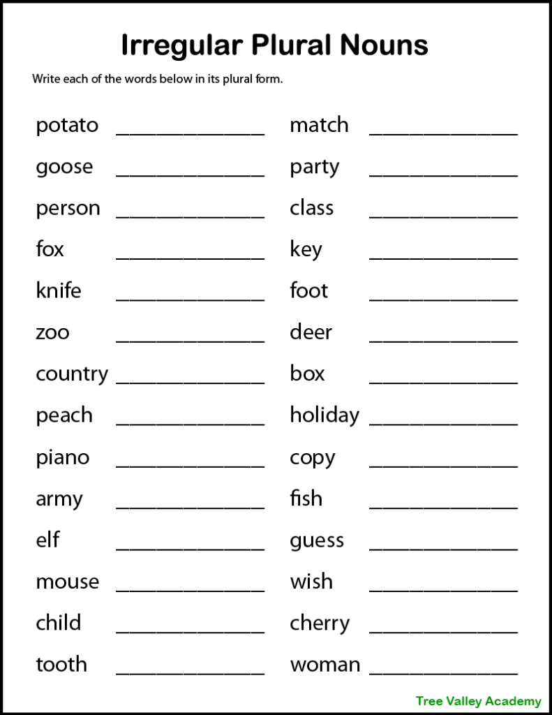 Singular Plural Worksheet for Kids and Adults