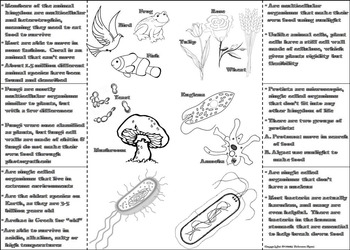 Master 6 Kingdoms with Our Coloring Worksheet Answer Key