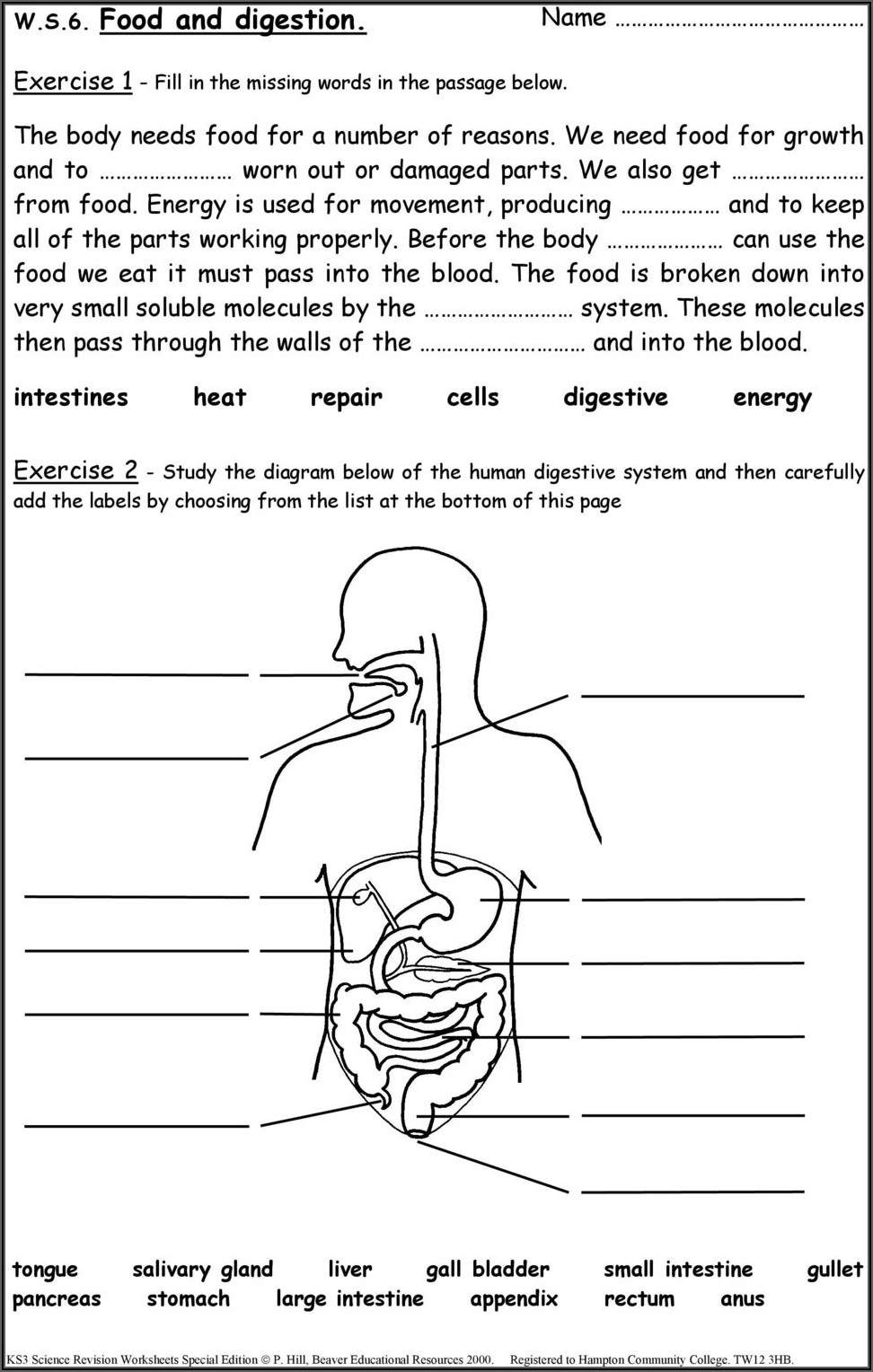 Sixth Grade Science Worksheets