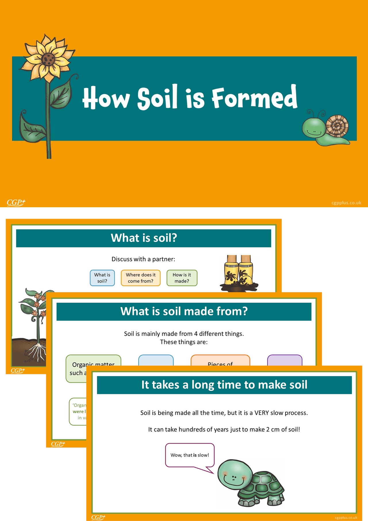 Soil Formation Worksheet Answer Key Guide