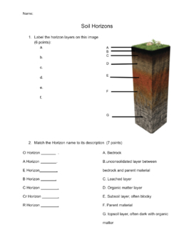 Soil Horizons Worksheet: Exploring the Layers of Earth