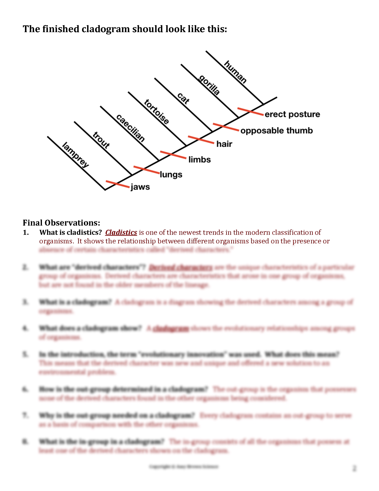 Solution Let Build A Cladogram Teacher Guide Studypool Worksheets