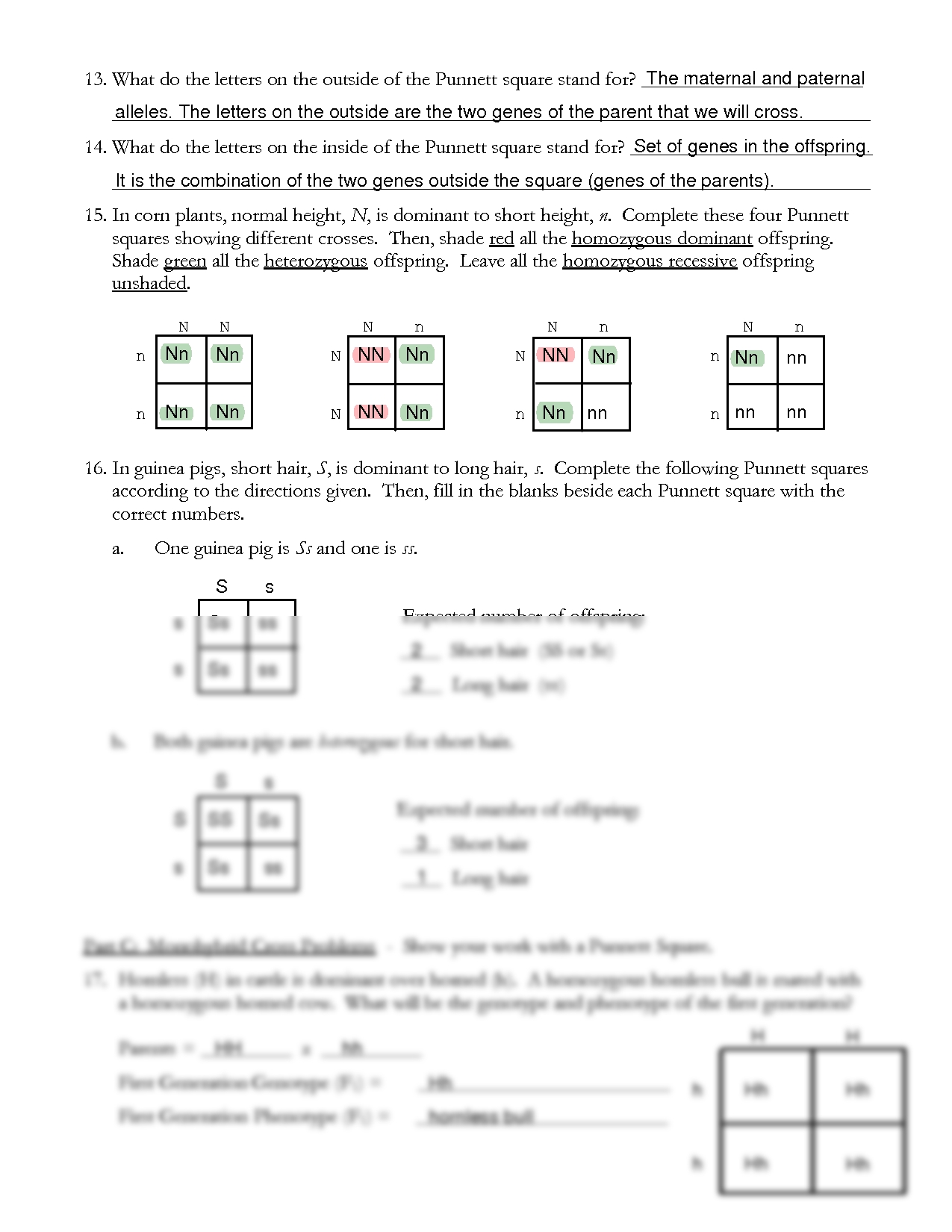 Solution Monohybrid Cross Worksheet And Answer Studypool