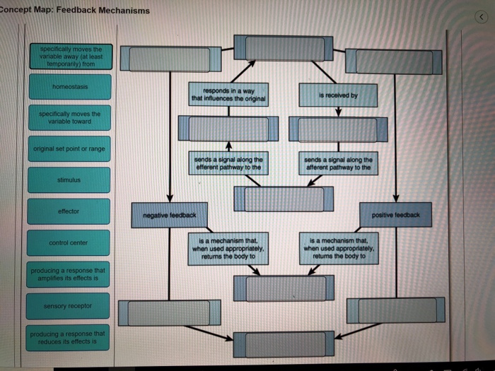 Solved Complete The Concept Map To Explain How Positive And Chegg Com