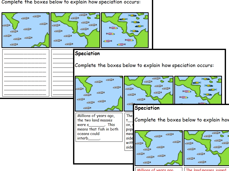 Speciation Worksheet Answer Key Pdf