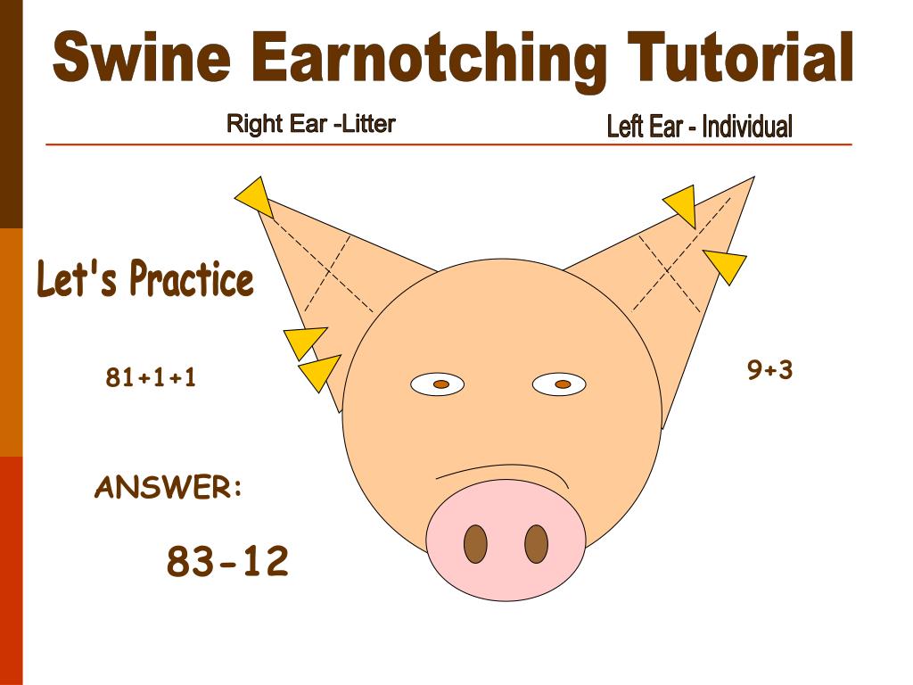 Swine Ear Notching Worksheet Essentials