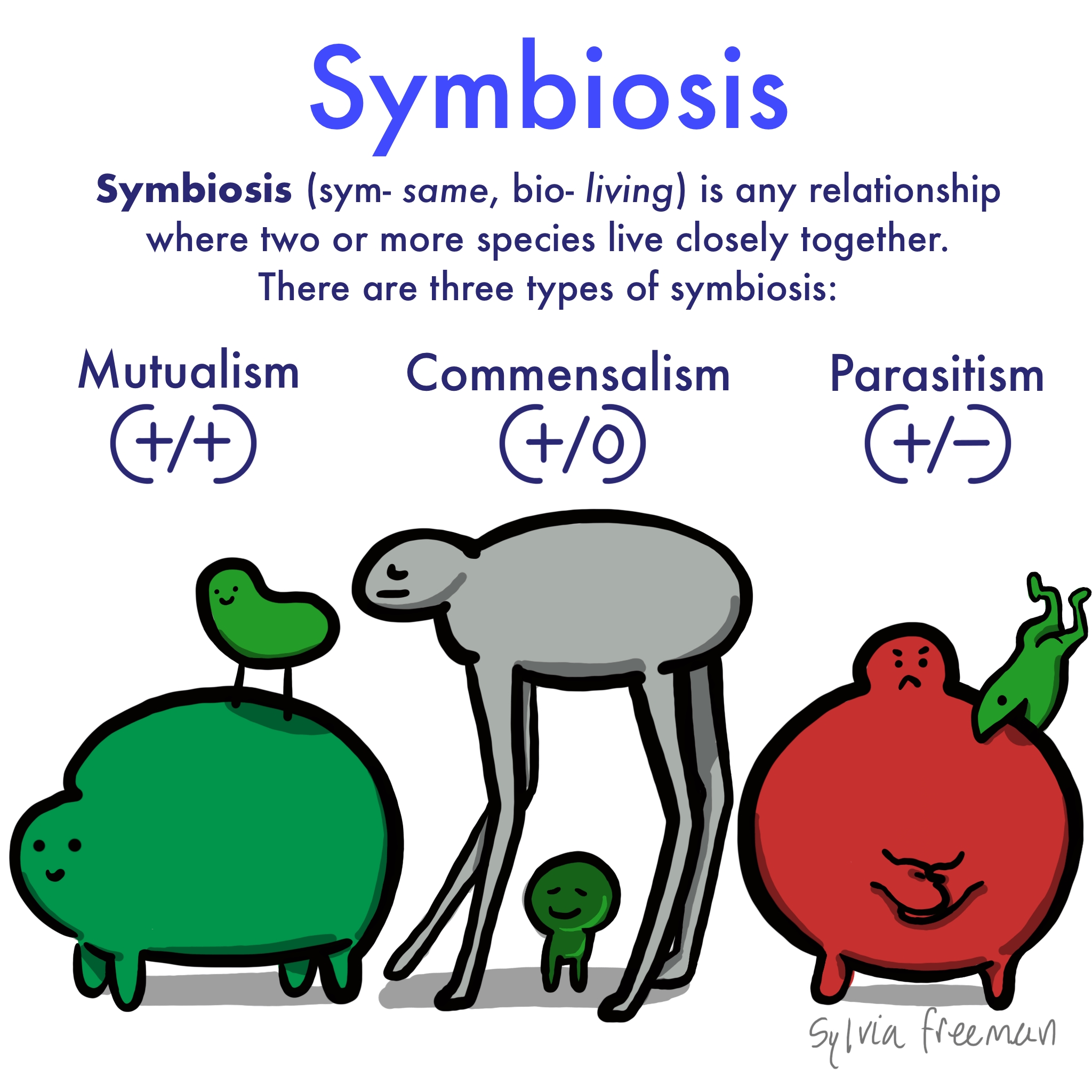 7 Symbiosis Examples to Explore