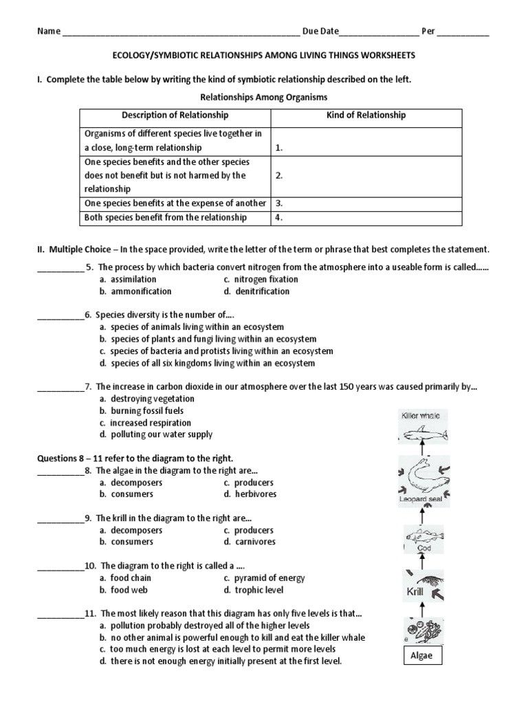 Symbiotic Relationship Worksheet Answers Explained