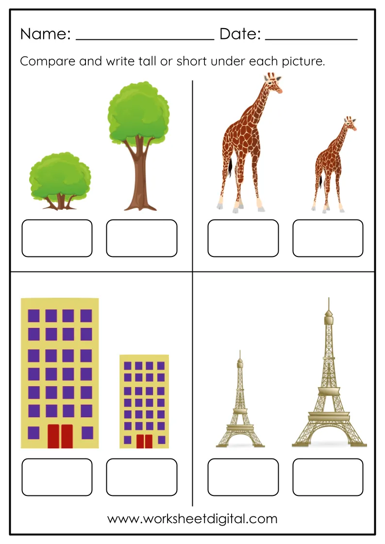 Tall And Short Worksheet Pdf